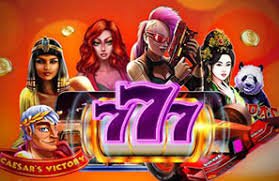 tai111